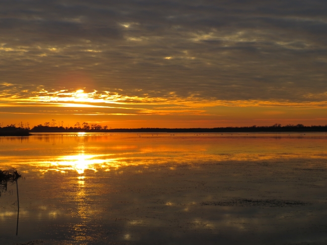 Golden sunset over Back Bay, USFWS, Public Domain, https://www.fws.gov/media/golden-sunset-over-back-bay